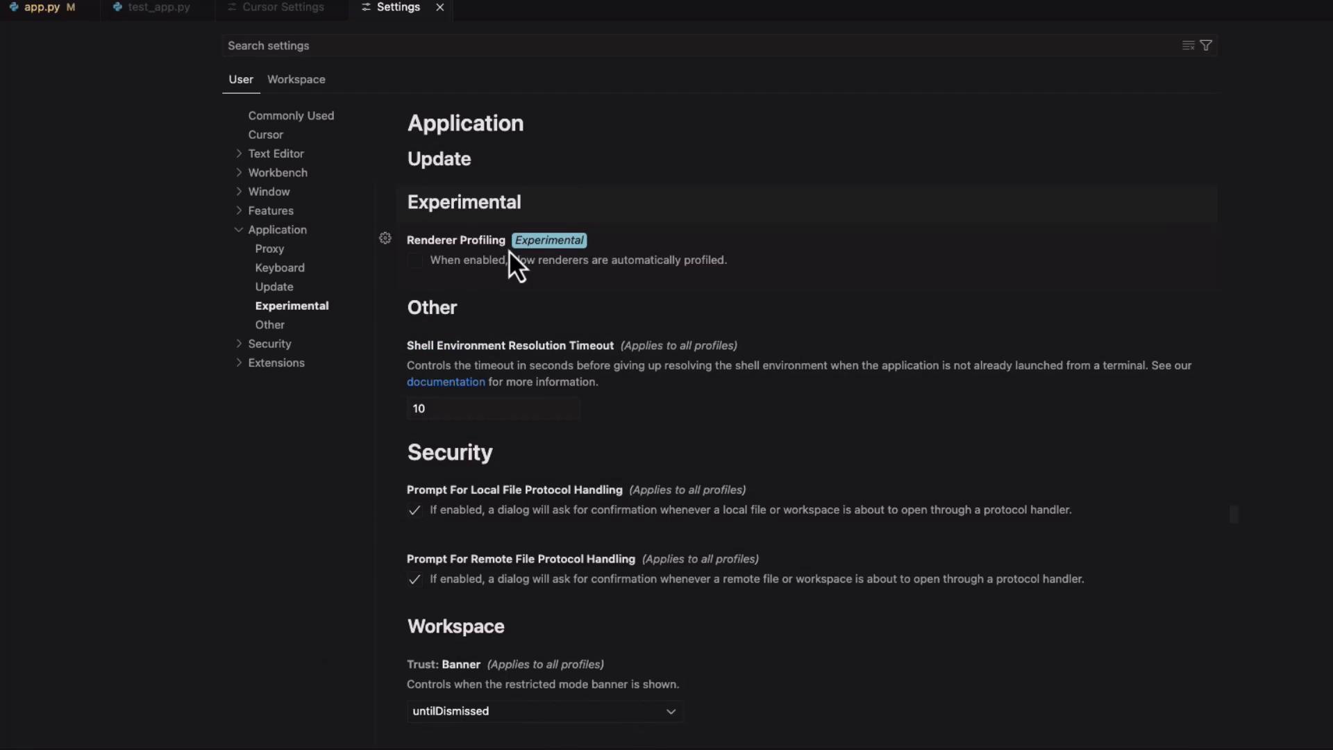 The image shows a settings menu from a software application, highlighting options under "Application," "Security," and "Workspace" categories, with a focus on "Experimental" features.