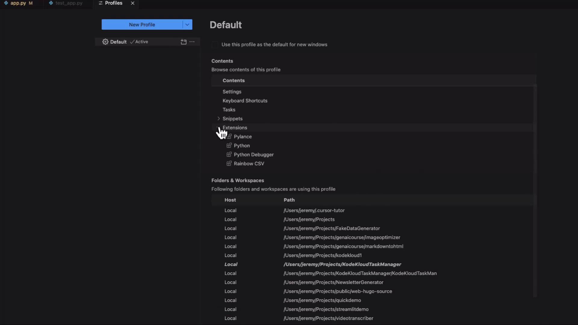 The image shows a software interface for managing profiles, extensions, and workspaces, with a list of extensions like Pylance and Python, and various project paths.