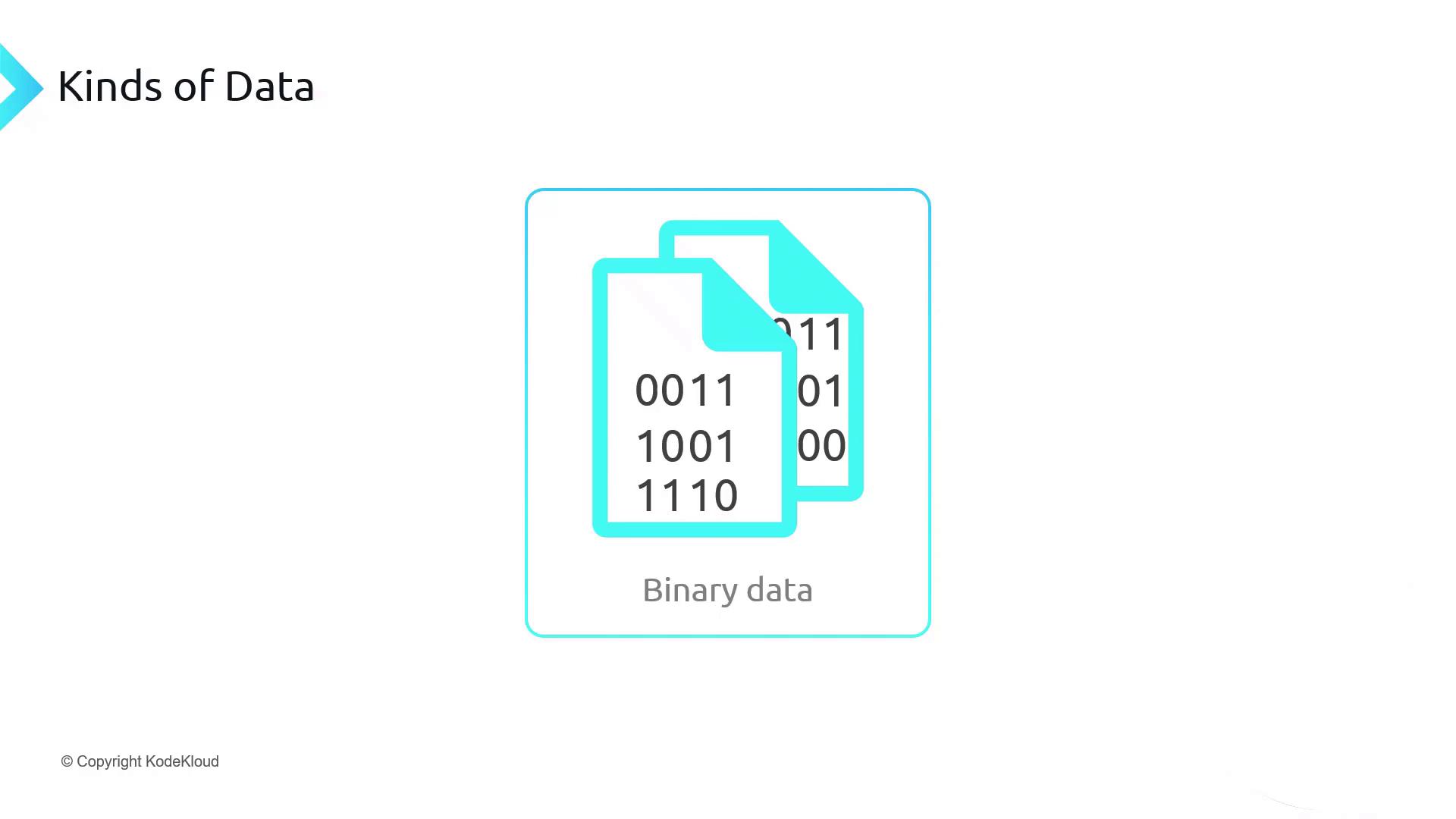 The image shows two overlapping documents with binary numbers on them, labeled "Binary data," under the heading "Kinds of Data."