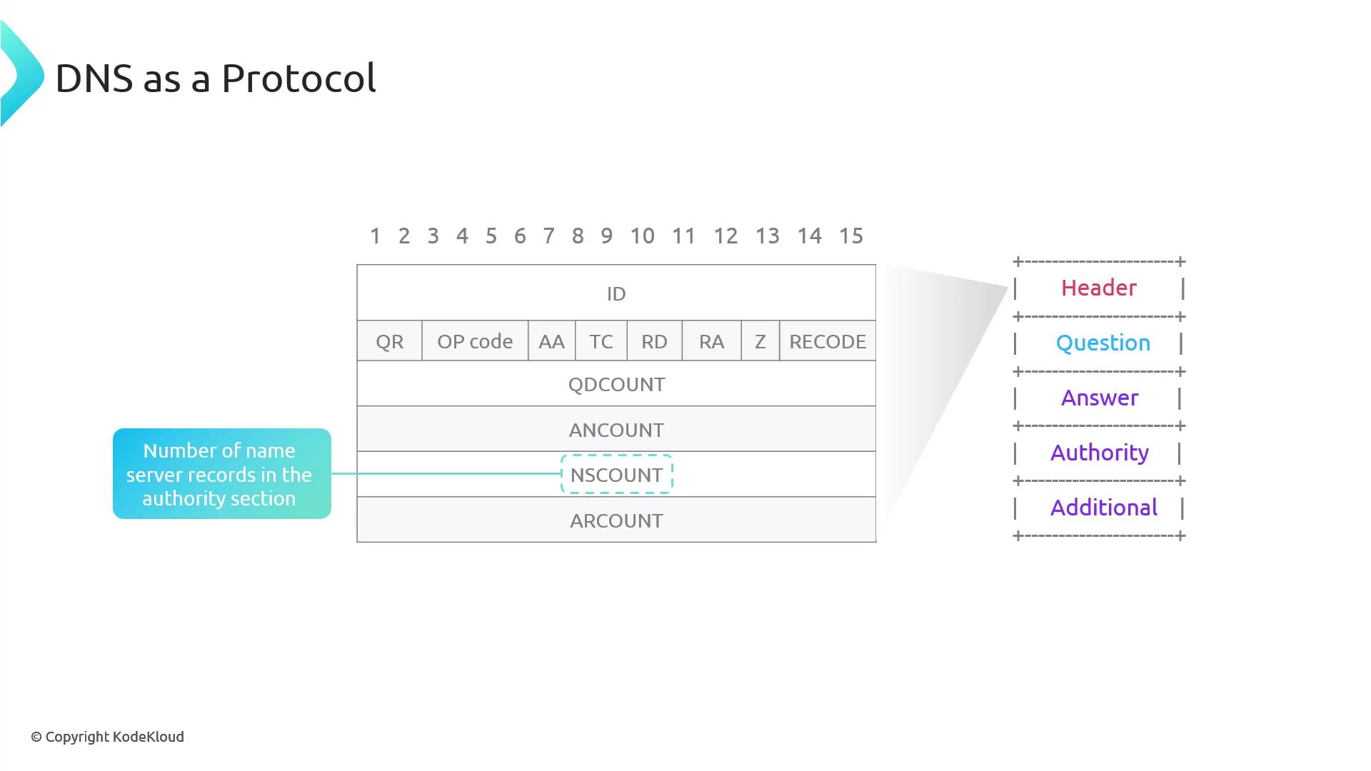 The image illustrates the structure of a DNS protocol message, highlighting sections such as Header, Question, Answer, Authority, and Additional, with a focus on the "NSCOUNT" field indicating the number of name server records in the authority section.