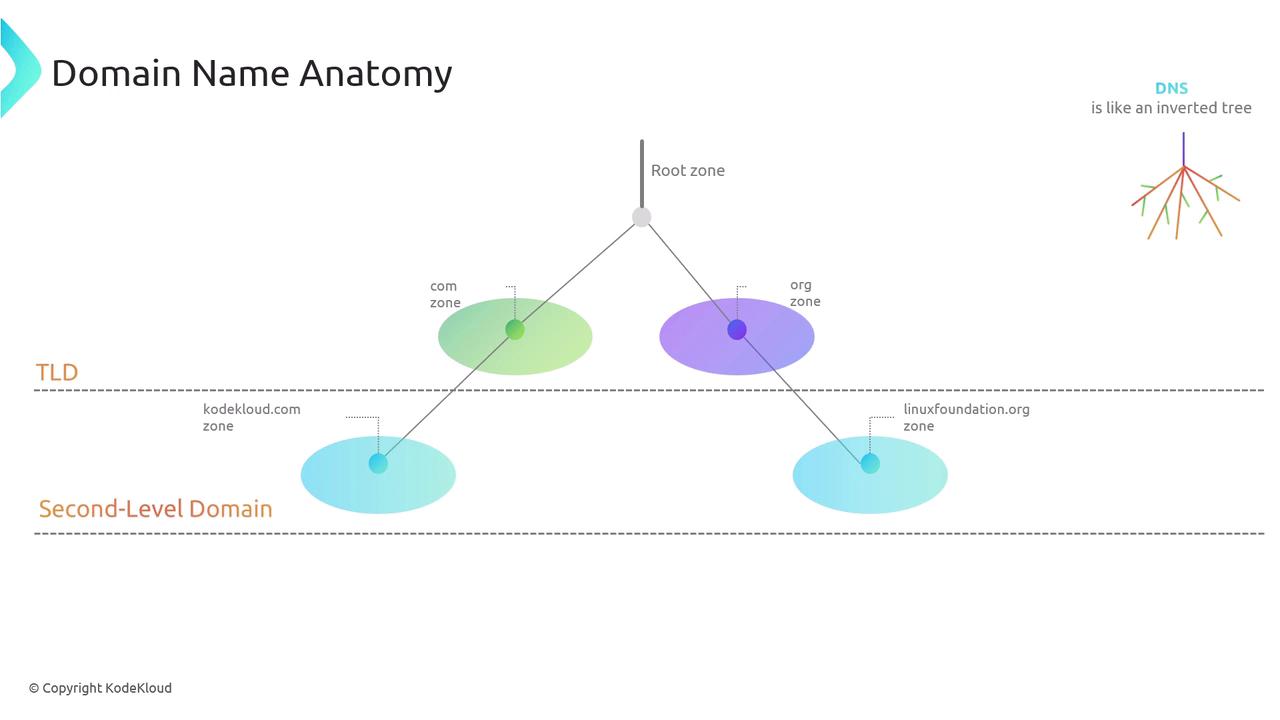 The image illustrates the structure of domain name anatomy, showing the hierarchy from the root zone to top-level domains (TLDs) and second-level domains, resembling an inverted tree.