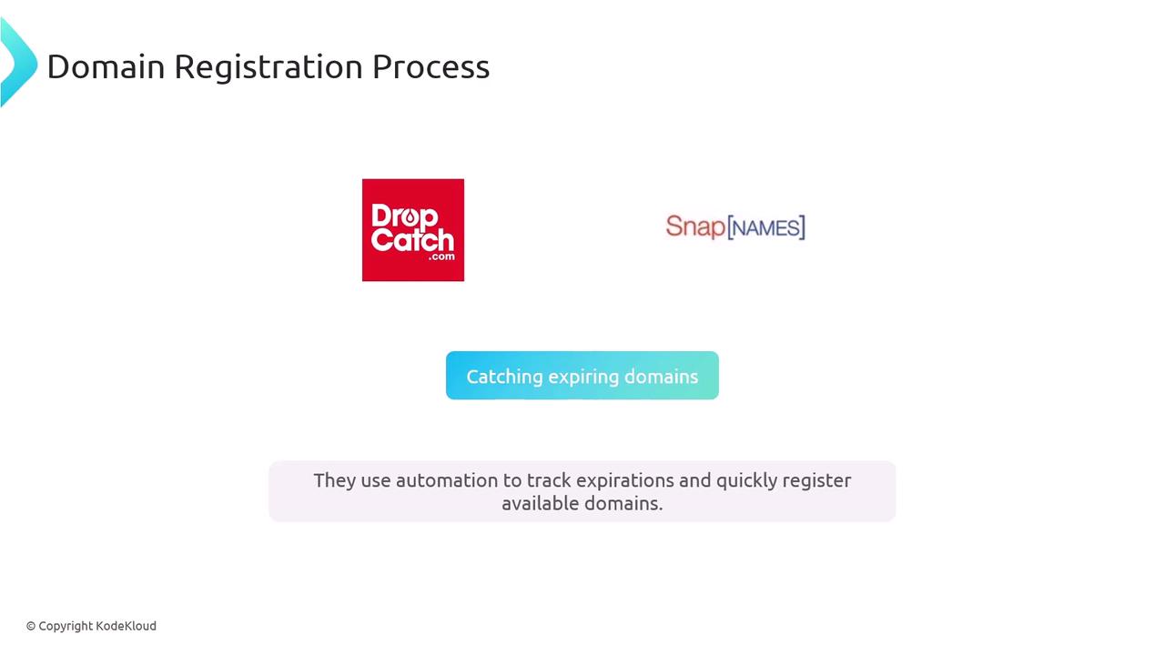 The image illustrates the domain registration process, highlighting services like DropCatch and SnapNames that use automation to catch expiring domains.