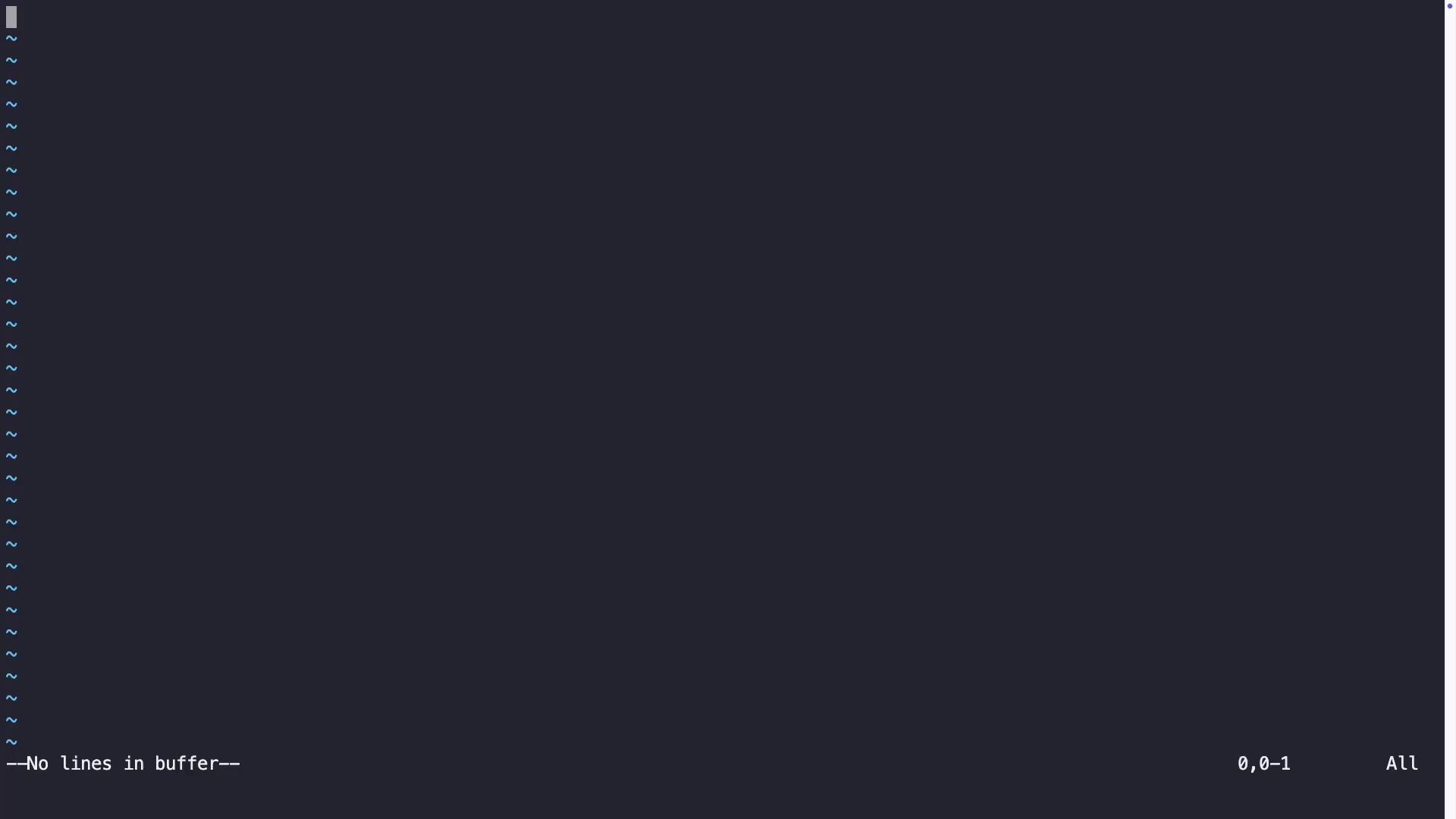 The image shows a blank text editor screen with a dark background, likely indicating an empty file in a terminal-based editor like Vim.