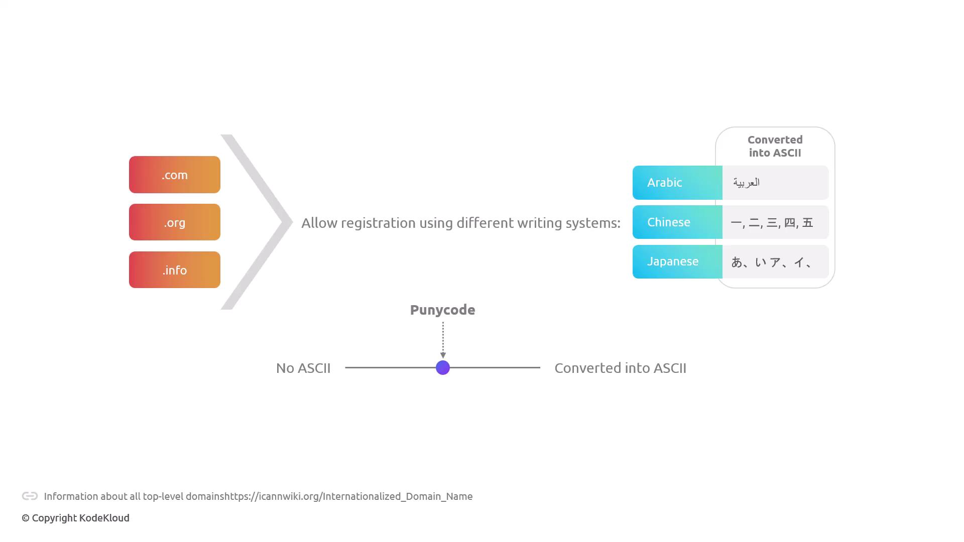 The image illustrates the process of allowing domain registration using different writing systems (Arabic, Chinese, Japanese) and converting them into ASCII using Punycode.