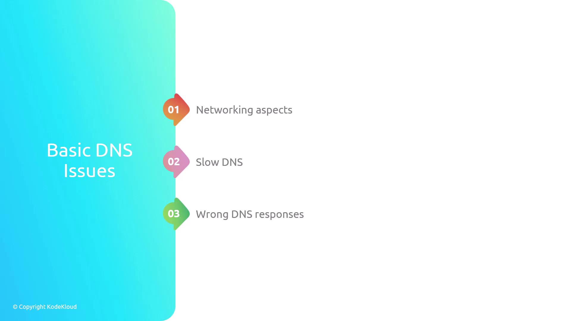 The image lists three basic DNS issues: networking aspects, slow DNS, and wrong DNS responses.