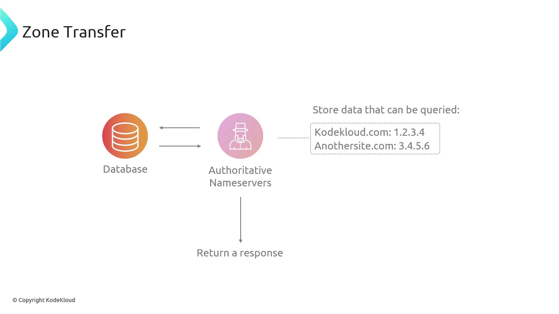 The image illustrates a "Zone Transfer" process, showing the interaction between a database and authoritative nameservers, which store and return queryable data like domain names and IP addresses.
