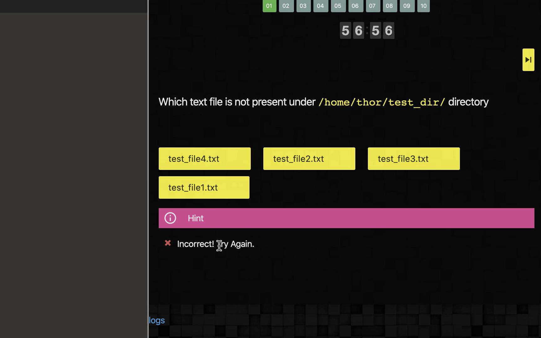 A quiz interface asks which text file is not present in a directory, with four options. An incorrect attempt is indicated.