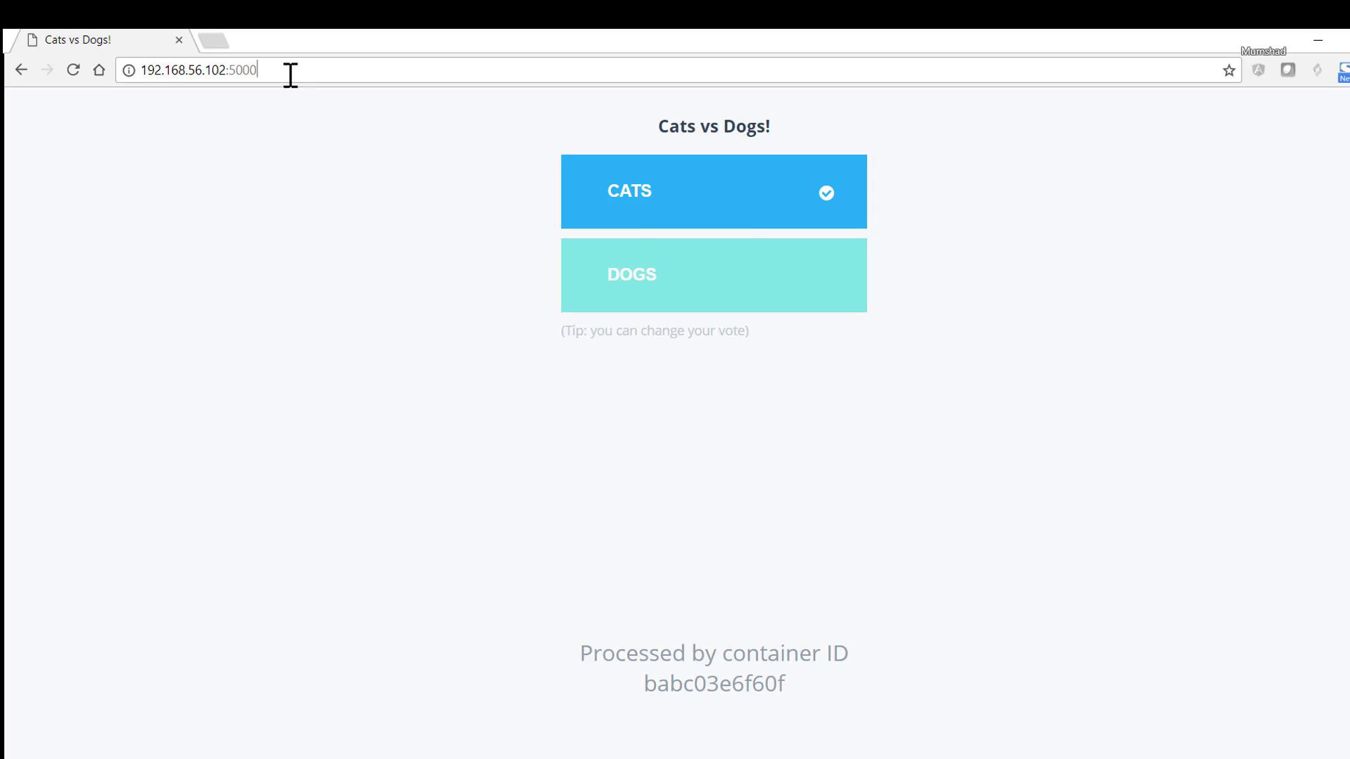 The image shows a web page titled "Cats vs Dogs!" with options to vote for either "CATS" or "DOGS," and the "CATS" option is selected.