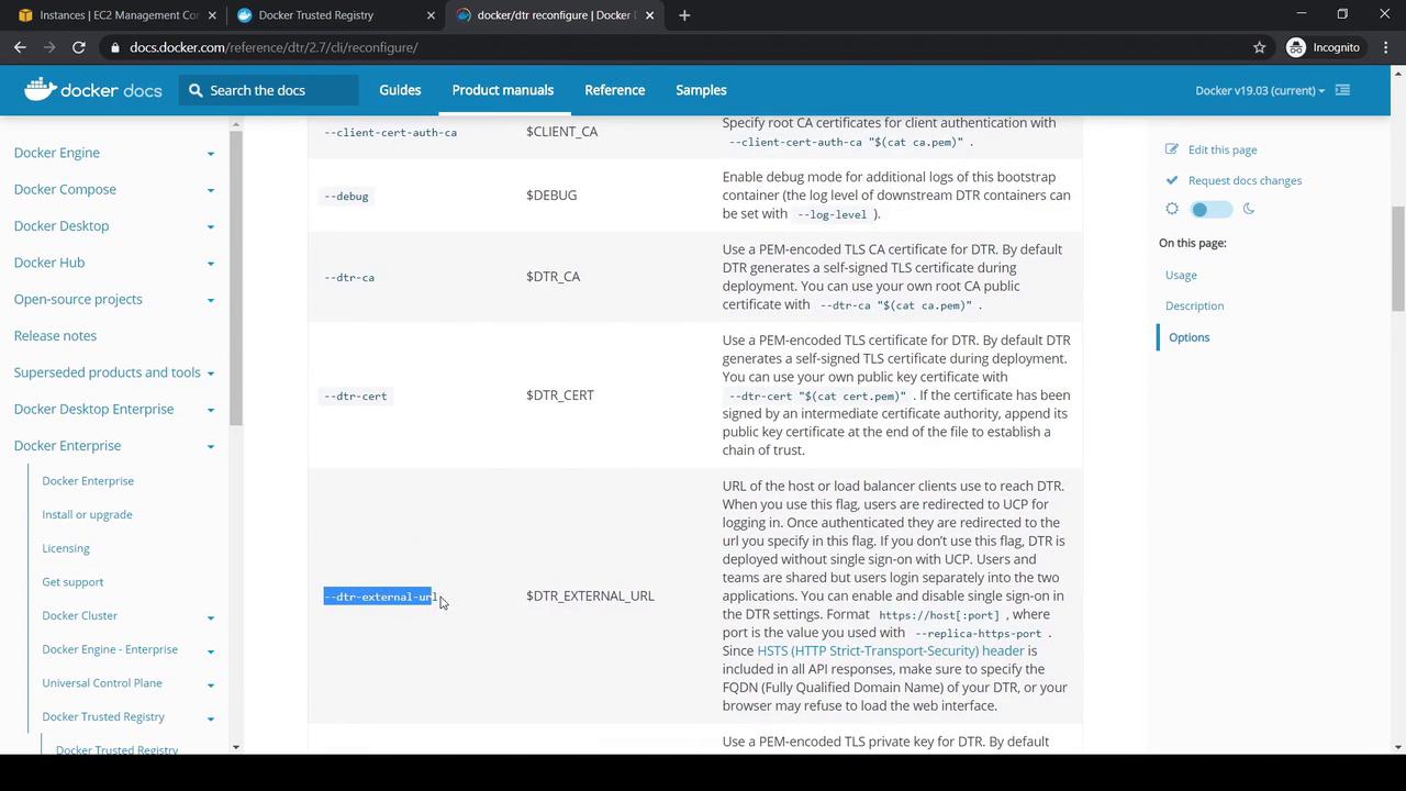 The image shows a webpage from Docker documentation, specifically detailing command-line options for configuring Docker Trusted Registry (DTR). It includes descriptions and parameters for various configuration settings.