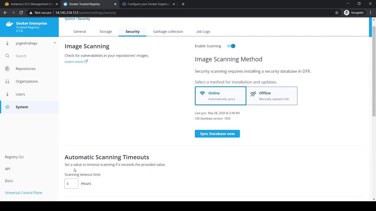 The image shows a Docker Enterprise Trusted Registry interface focused on security settings, specifically for image scanning methods and automatic scanning timeouts. It offers options for online and offline scanning and displays the last sync date and CVE database version.
