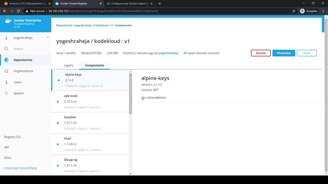 The image shows a Docker Enterprise Trusted Registry interface displaying details of a repository named "yogeshraheja/kodekloud:v1," including components like "alpine-keys" with no vulnerabilities.