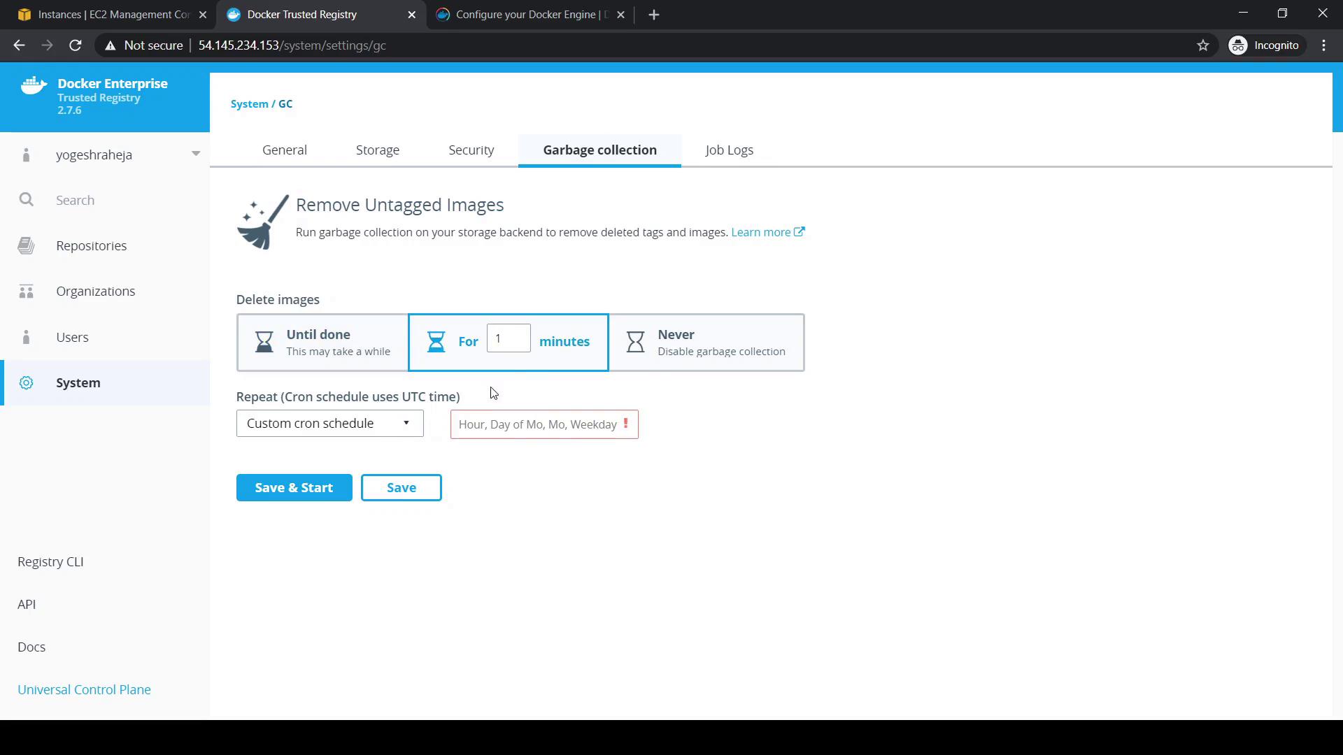 The image shows a Docker Enterprise Trusted Registry interface focused on garbage collection settings, allowing users to configure the removal of untagged images. Options include setting a duration for the process and scheduling it with a cron job.