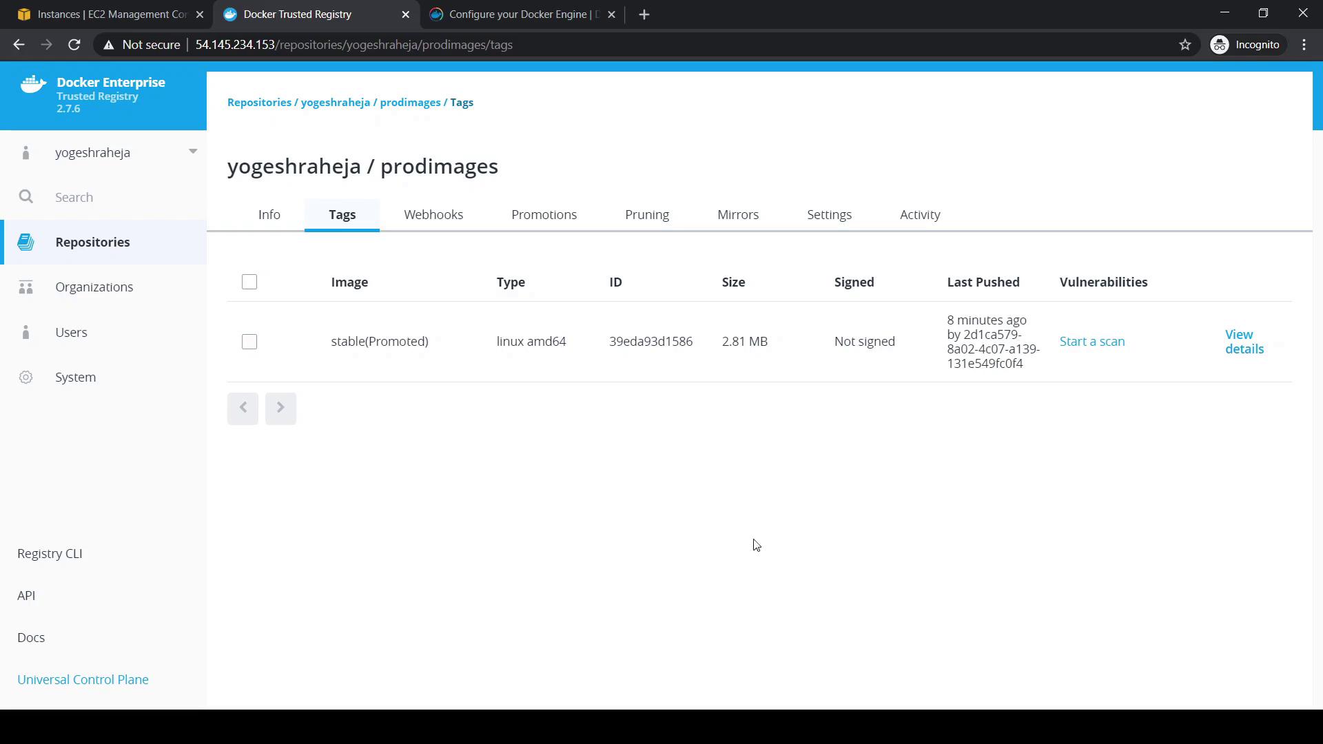 The image shows a Docker Enterprise Trusted Registry interface displaying details of a repository named "yogeshraheja/prodimages," including a tagged image labeled "stable(Promoted)" with its type, ID, size, and vulnerability scan options.