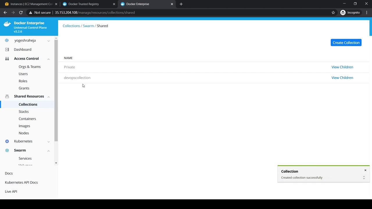 The image shows a Docker Enterprise interface with a focus on the "Collections" section under "Shared Resources," displaying two collections: "Private" and "devopscollection."