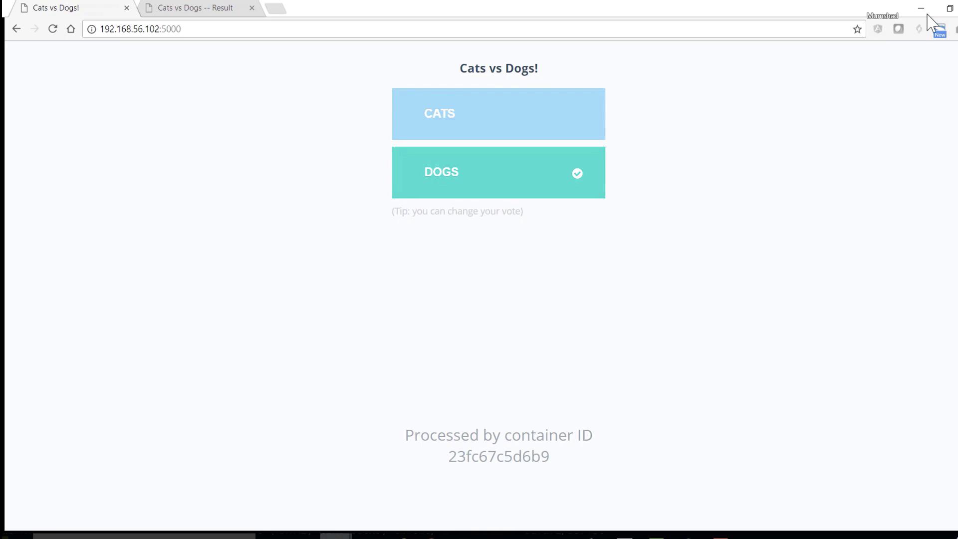 The image shows a webpage titled "Cats vs Dogs!" with two buttons labeled "CATS" and "DOGS," where "DOGS" is selected. It also mentions that you can change your vote and displays a container ID at the bottom.