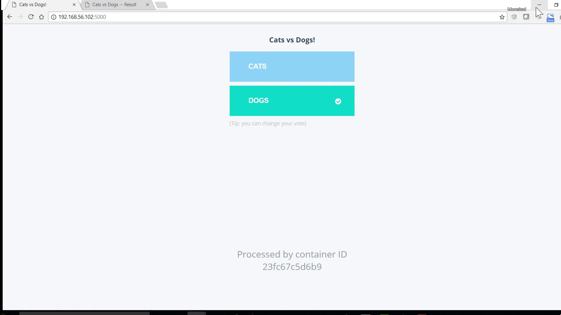 A webpage titled "Cats vs Dogs!" with voting options for "CATS" and "DOGS," showing "DOGS" selected. It includes a container ID and a tip about changing votes.