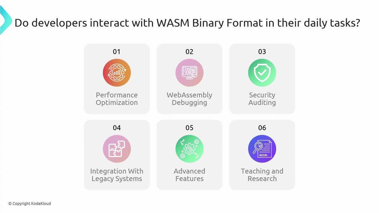The image lists six ways developers interact with the WASM Binary Format: performance optimization, WebAssembly debugging, security auditing, integration with legacy systems, advanced features, and teaching and research.