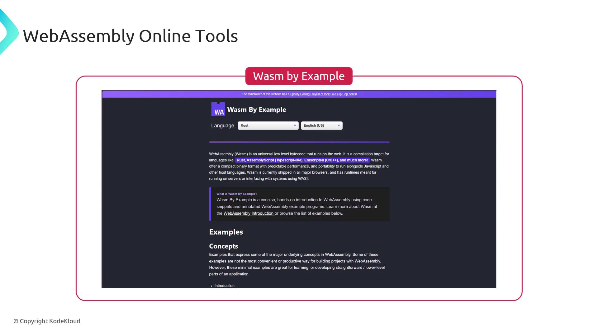 The image shows a webpage titled "Wasm by Example," which provides an introduction to WebAssembly using code snippets and examples. It includes options to select a programming language and language preference.