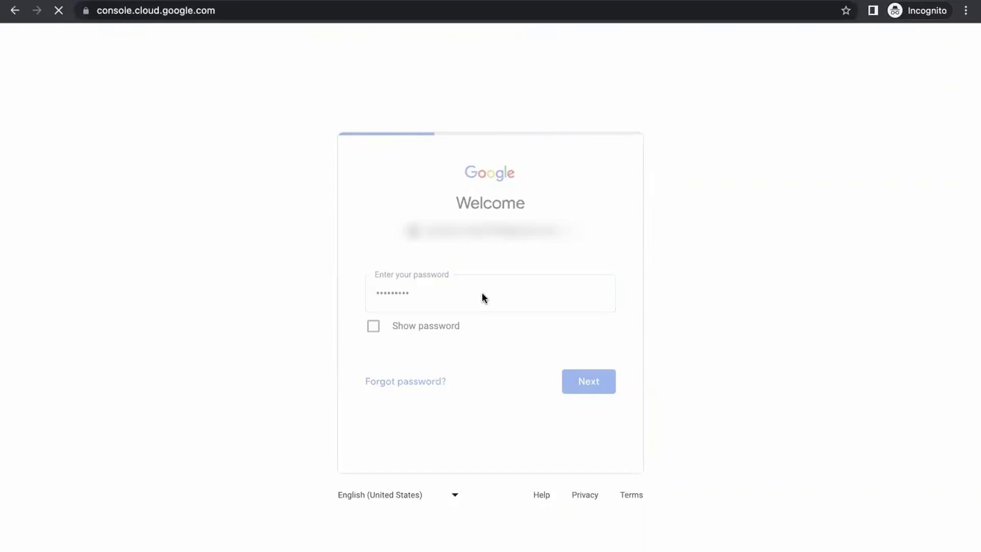 The image shows a Google login page prompting the user to enter their password. It includes options to show the password, recover a forgotten password, and proceed to the next step.