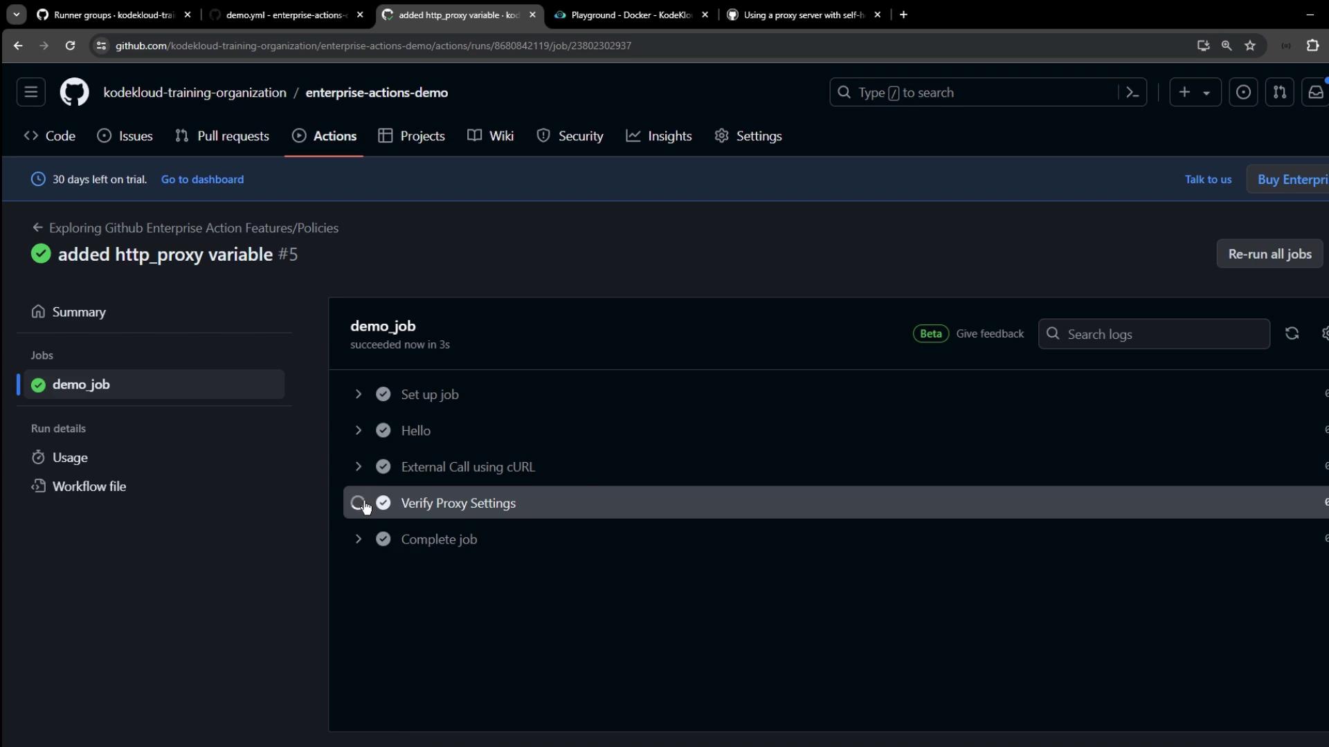 The image shows a GitHub Actions interface with a completed workflow run named "demo_job," which includes steps like setting up the job, making an external call using cURL, and verifying proxy settings.