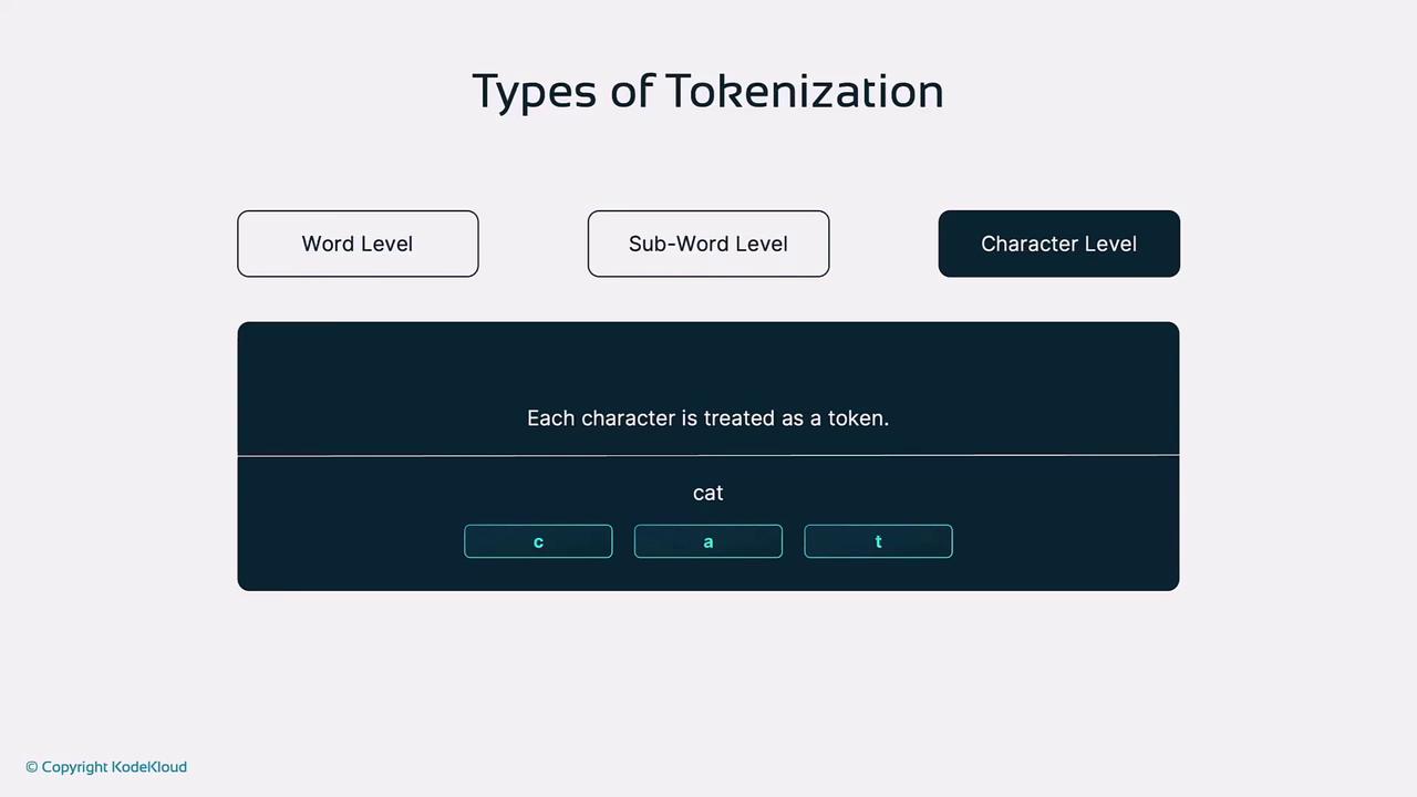 The image explains types of tokenization, focusing on character-level tokenization where each character in the word "cat" is treated as a separate token.