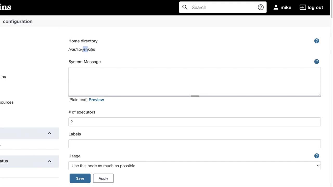 The image shows a Jenkins configuration page with settings for home directory, system message, executors, labels, and usage options.