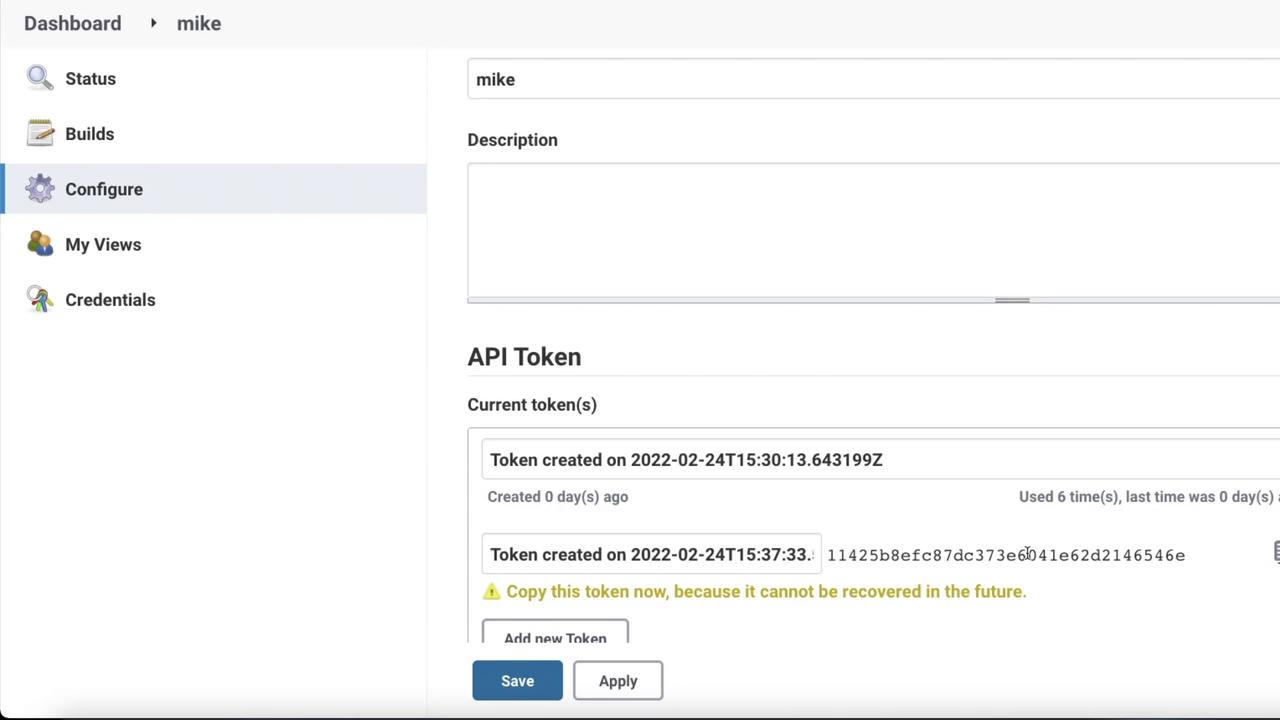 The image shows a dashboard interface for managing API tokens, with options to configure settings and view credentials.