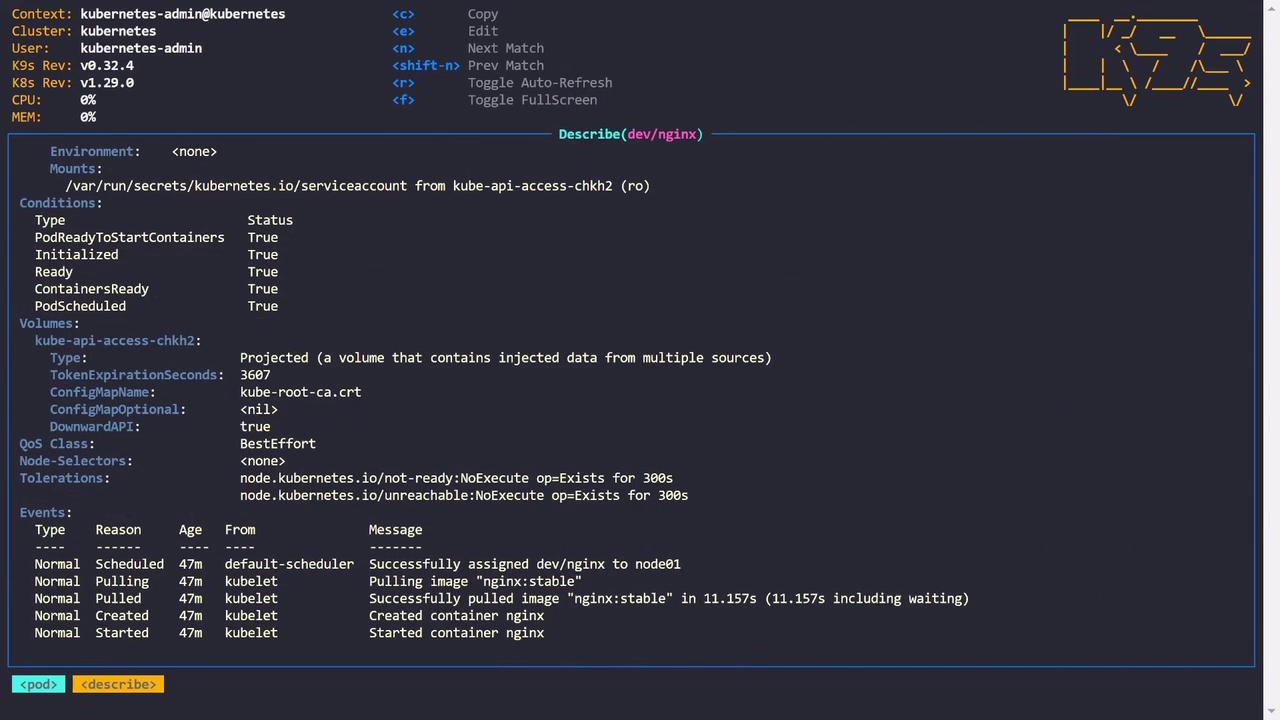 The image shows a terminal interface displaying Kubernetes pod details, including environment, conditions, volumes, and events related to the deployment of an Nginx container.