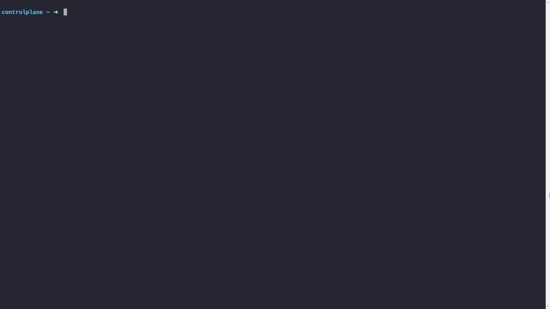 The image shows a terminal window with a command prompt labeled "controlplane" and a blinking cursor, ready for input.