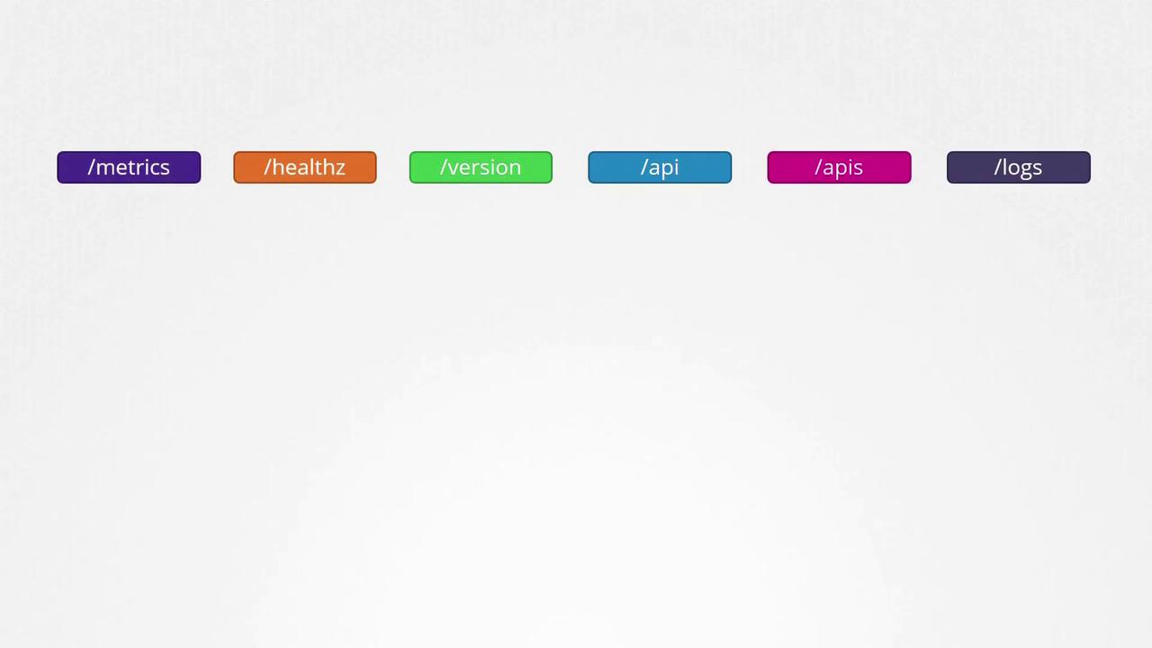 The image shows six colored labels with text: /metrics, /healthz, /version, /api, /apis, and /logs, likely representing API endpoints.