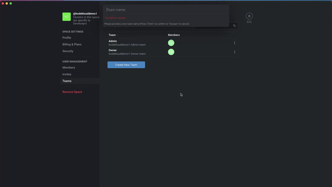 The image shows a user interface for managing teams, with options to create a new team and view existing teams and members. The left sidebar includes settings and user management options.