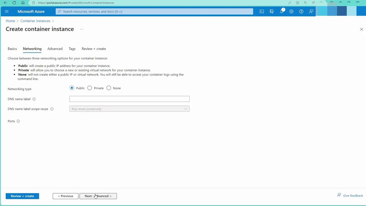 The image shows a Microsoft Azure interface for creating a container instance, specifically focusing on the networking options. It allows the user to choose between public, private, or no networking for the container instance.