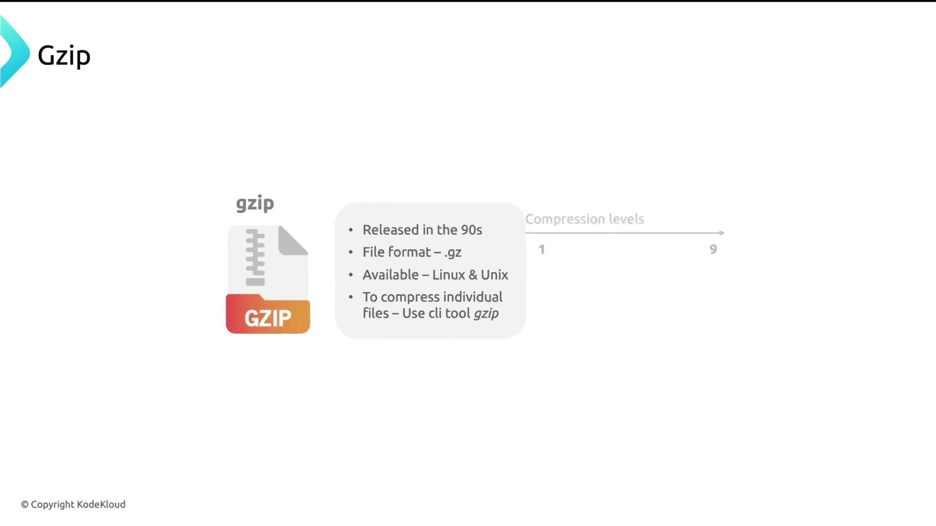 The image is an infographic about gzip, detailing its release in the 90s, file format (.gz), availability on Linux and Unix, and its use for compressing individual files with a CLI tool. It also shows a compression level scale from 1 to 9.