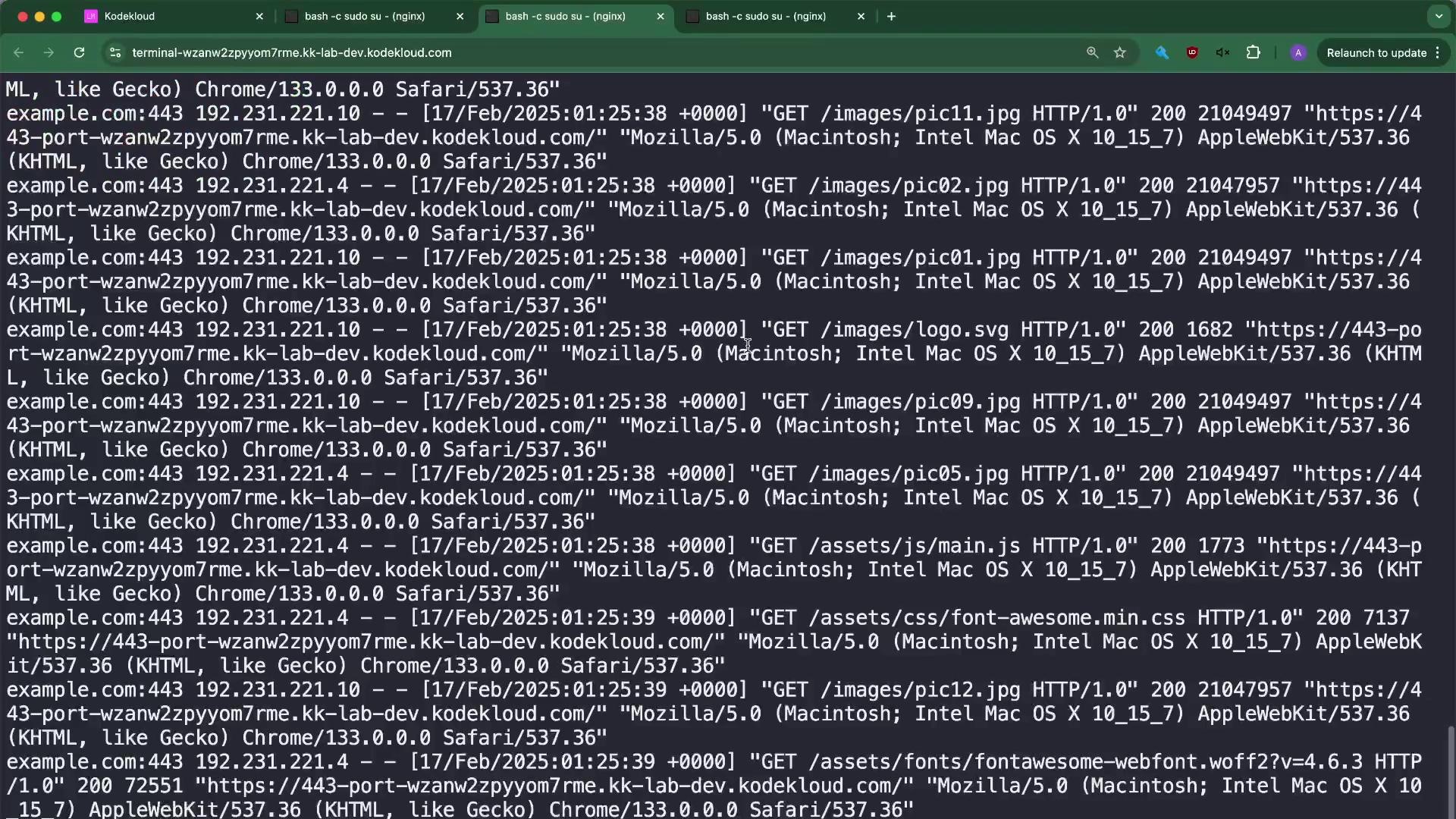 The image shows a terminal window displaying a series of HTTP GET requests with details such as timestamps, URLs, and user-agent strings.