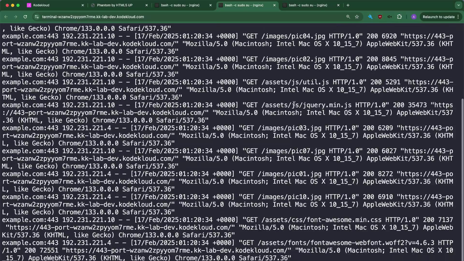 The image shows a terminal window displaying server log entries, detailing HTTP requests with timestamps, IP addresses, and user-agent information.