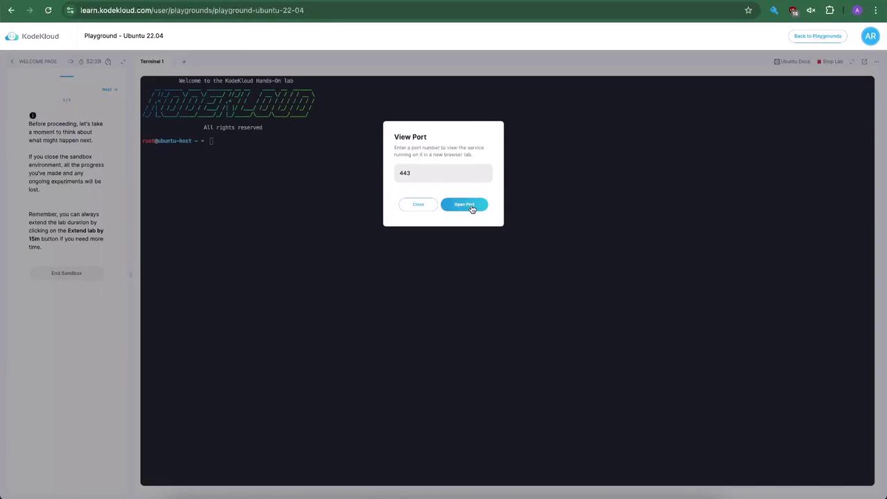 The image shows a KodeKloud terminal interface with a "View Port" dialog box open, prompting the user to enter a port number, with "443" already entered and an "Open Port" button highlighted.
