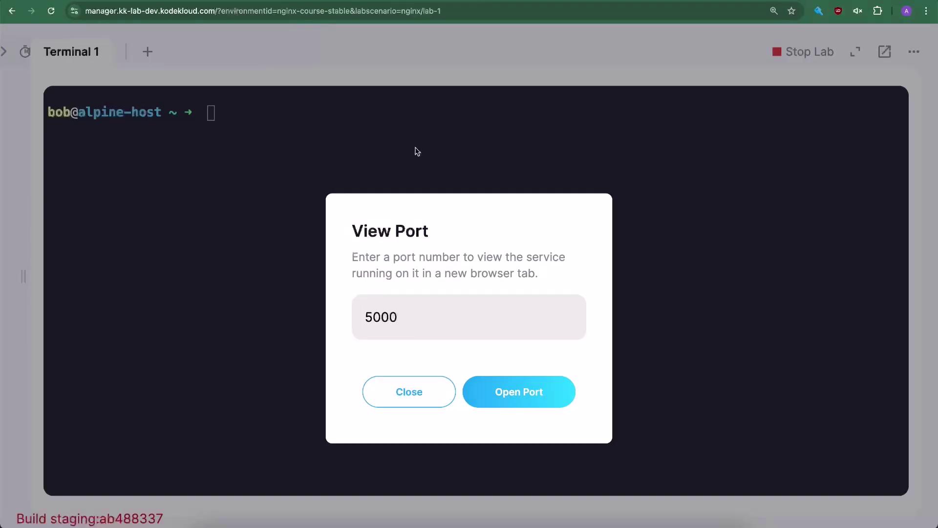 The image shows a terminal interface with a pop-up window titled "View Port," prompting the user to enter a port number to view a service, with the number 5000 pre-filled and options to "Close" or "Open Port."