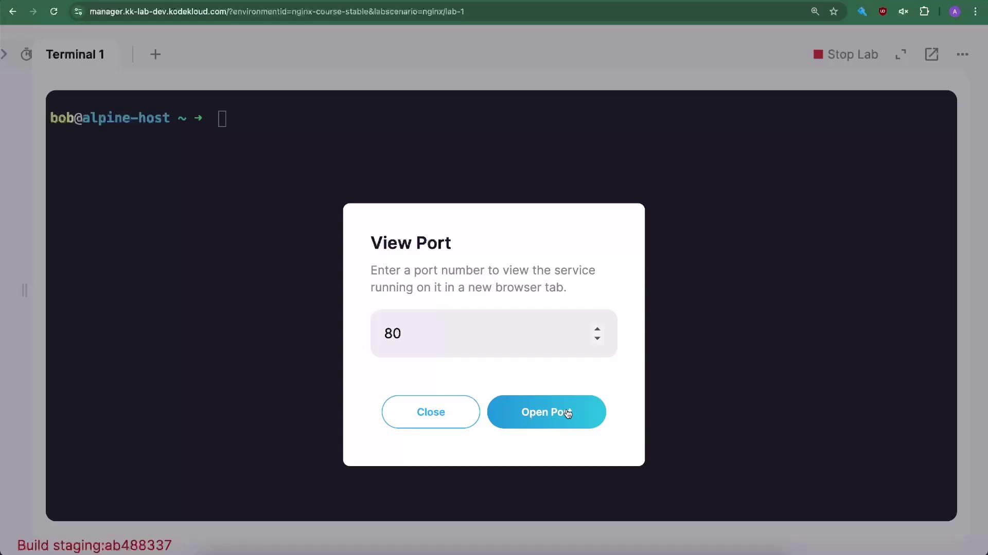 The image shows a terminal interface with a pop-up window titled "View Port," prompting the user to enter a port number, with the default set to 80, and options to close or open the port.
