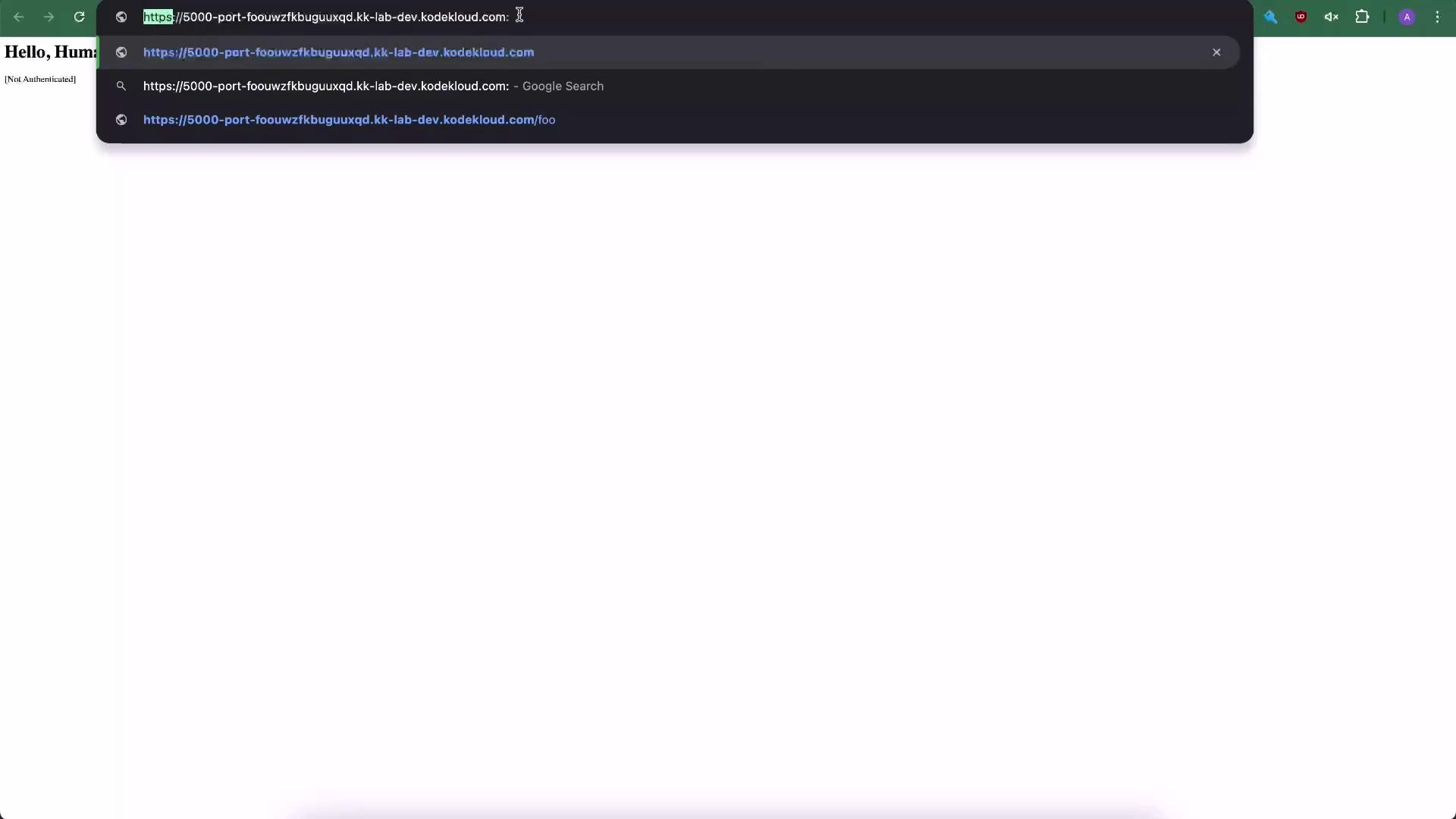 The image shows a web browser with a URL being typed in the address bar, and the page displays the text "Hello, Human!" with a note indicating the user is not authenticated.