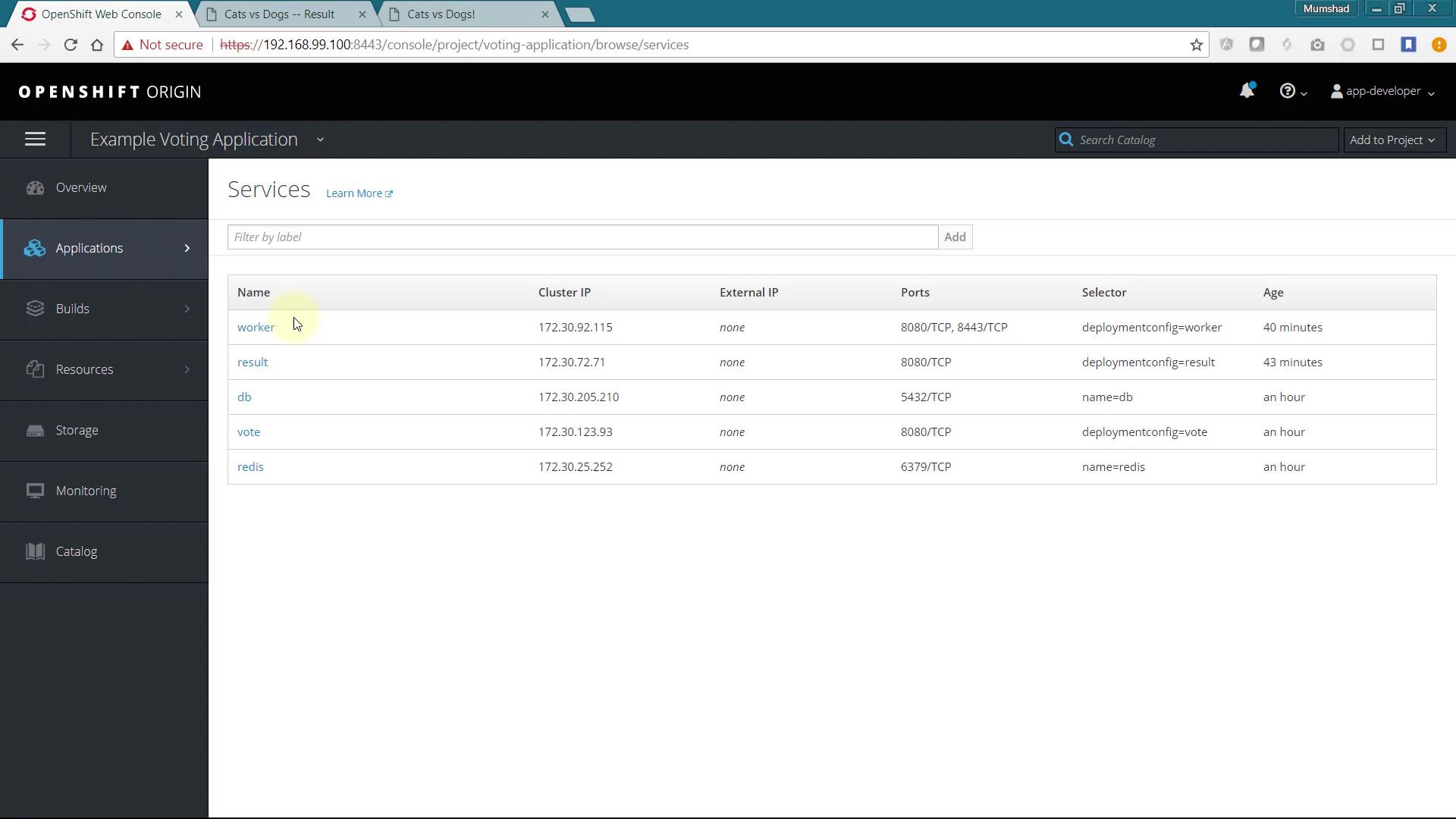 The image shows the OpenShift Origin web console displaying a list of services for an example voting application, including details like name, cluster IP, ports, selector, and age.