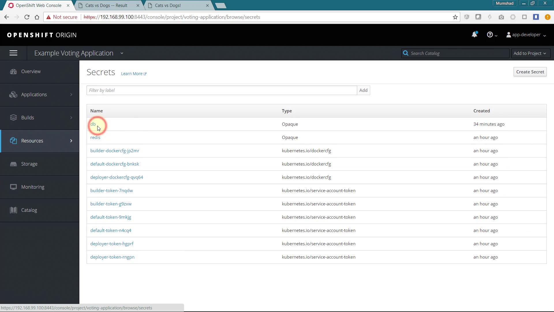 The image shows the OpenShift Web Console displaying a list of secrets for an "Example Voting Application," including their names, types, and creation times.