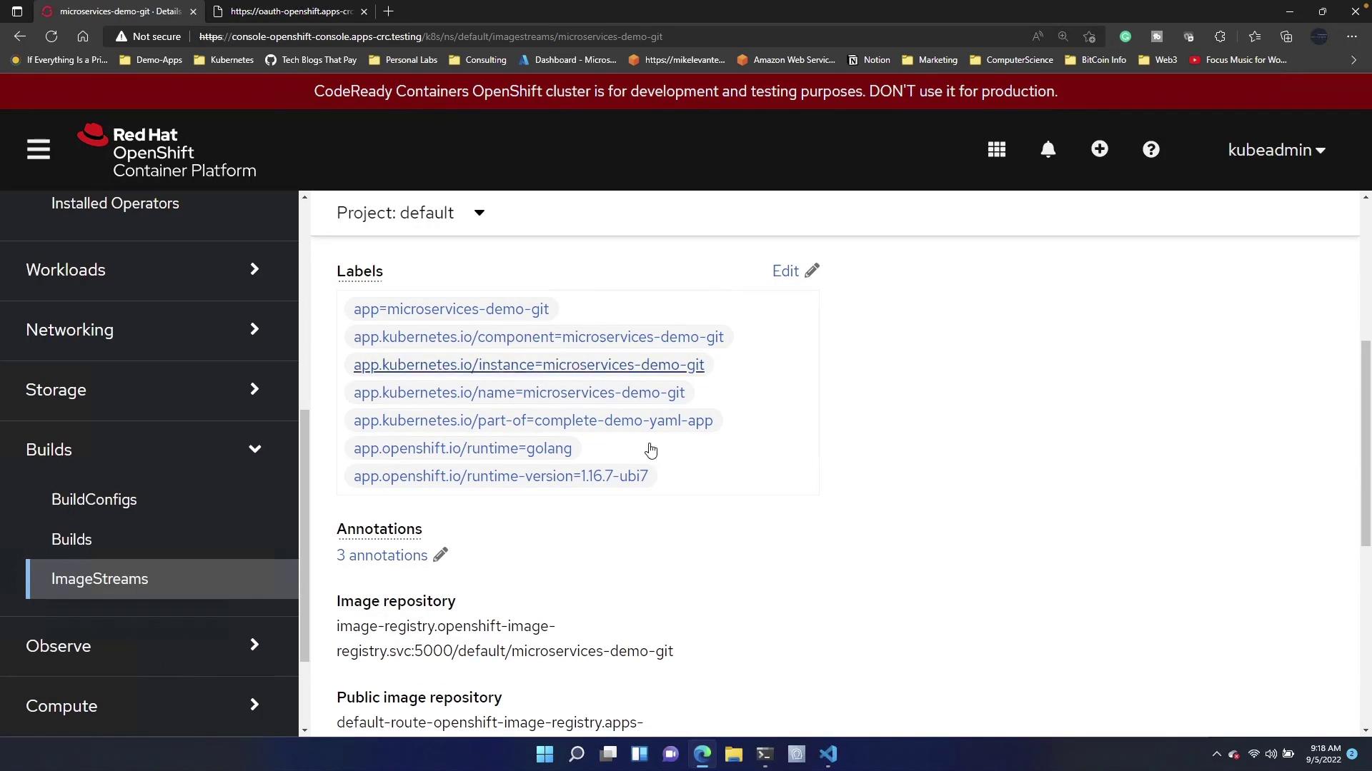 The image shows a Red Hat OpenShift Container Platform interface displaying project details, including labels and image repository information for a microservices demo.