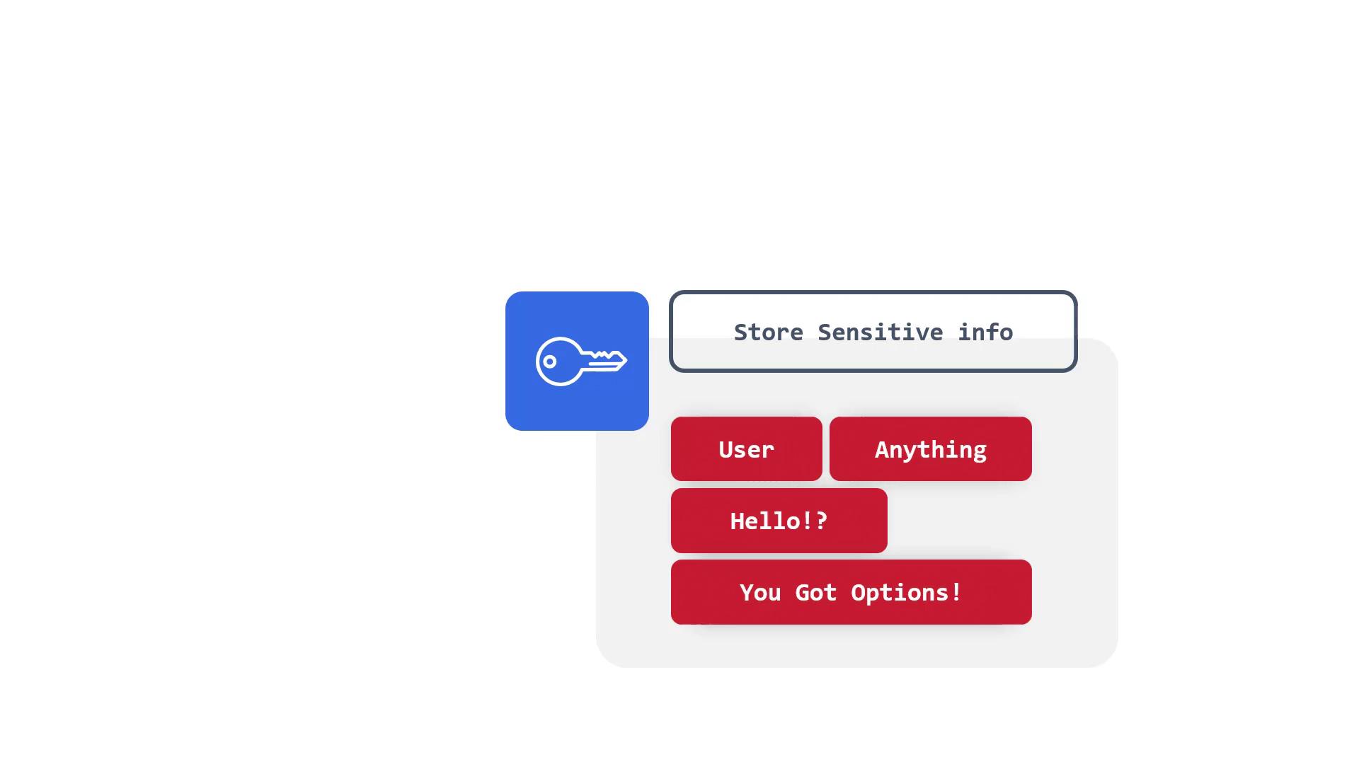 The image shows a blue icon of a key next to a text box labeled "Store Sensitive info," with four red buttons labeled "User," "Anything," "Hello!?," and "You Got Options!"