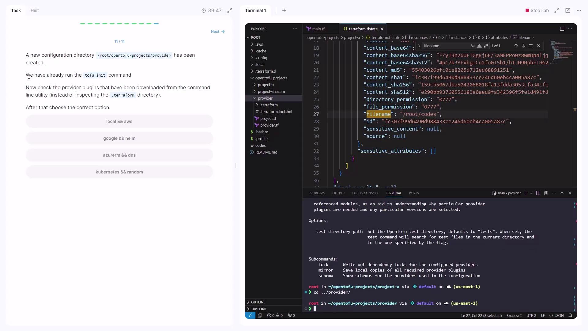The image shows a coding environment with a file explorer and a code editor displaying a JSON file related to Terraform configuration. There is also a terminal at the bottom with commands related to navigating directories and managing provider plugins.