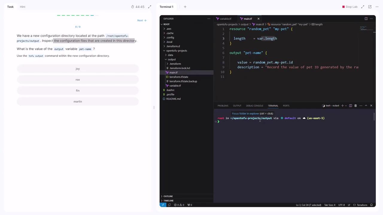 The image shows a coding environment with a task about inspecting configuration files in a directory. It includes a code editor displaying Terraform code and a terminal window, along with a multiple-choice question about the value of a variable.