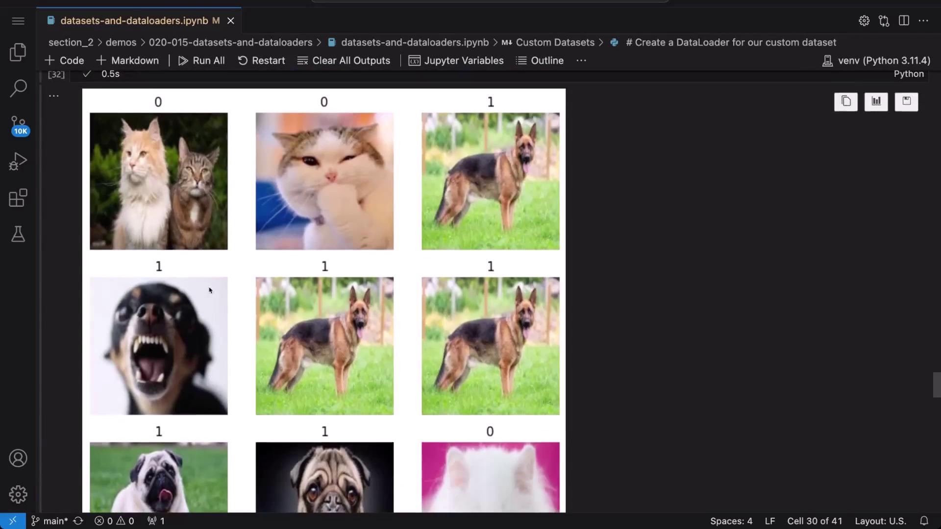 The image shows a grid of animal photos, including cats and dogs, with labels "0" and "1" above each image. It appears to be part of a dataset used in a coding environment.