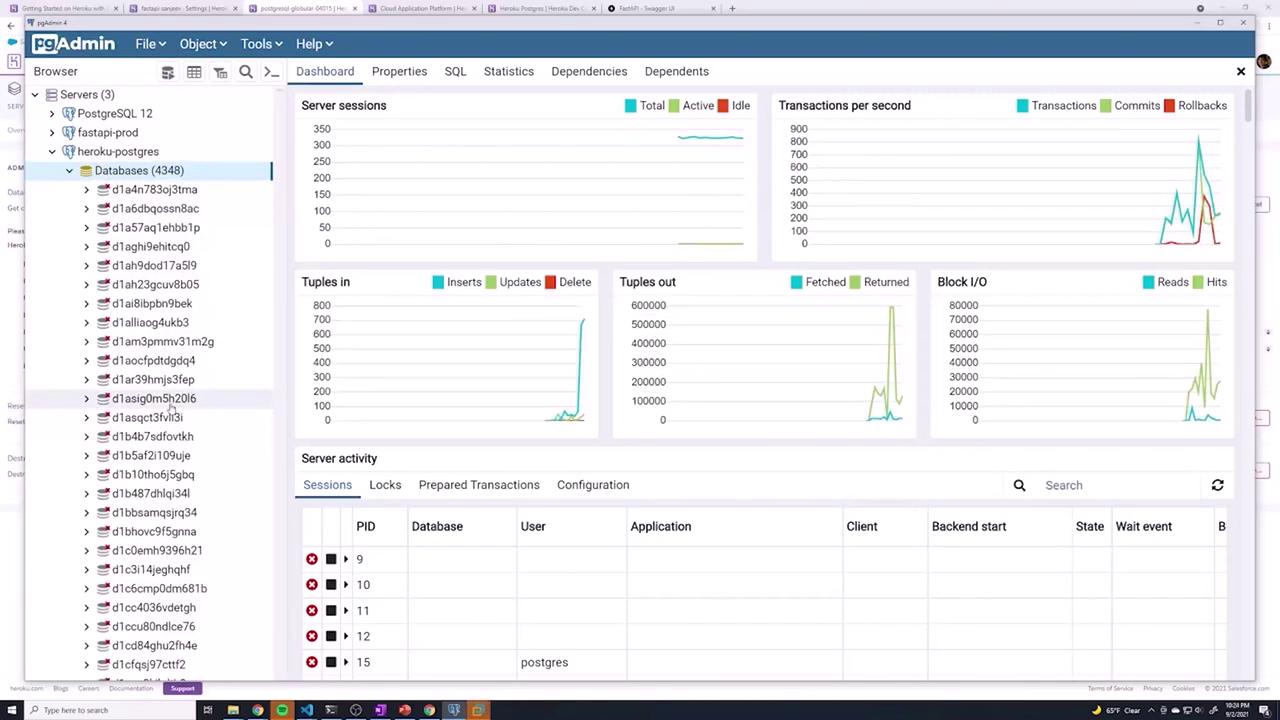 The image shows a pgAdmin interface displaying database statistics, including server sessions, transactions per second, and tuples in/out, with a list of databases on the left.