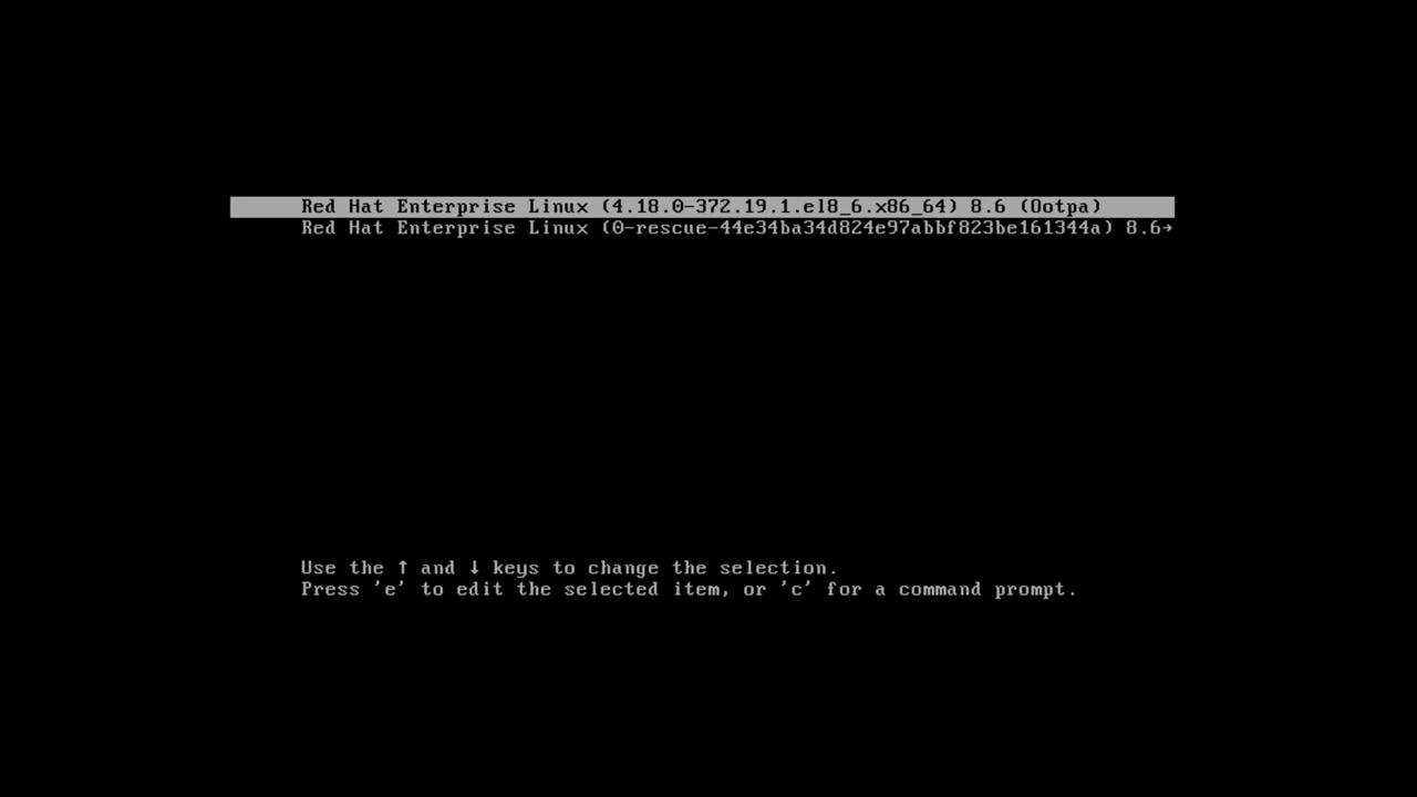 The image shows a boot menu for Red Hat Enterprise Linux, offering options to select or edit the boot process.