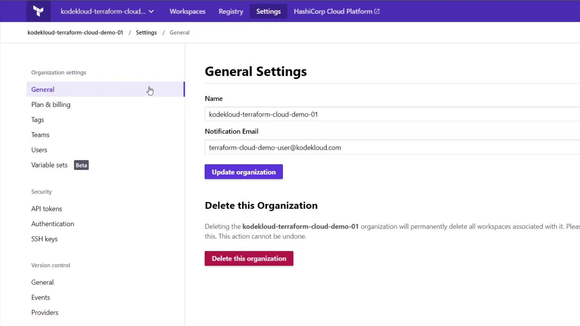The image shows the general settings page of a Terraform Cloud organization, with options to update organization details or delete the organization.