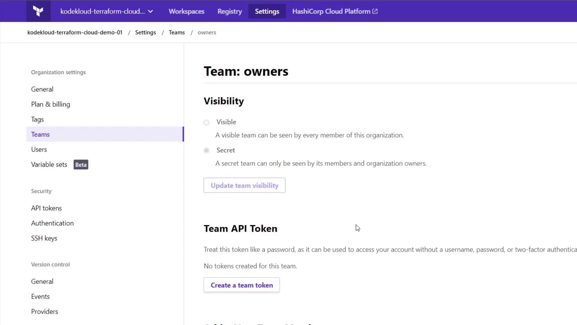 The image shows a settings page for a team named "owners" in a cloud platform, with options for visibility and API token management.